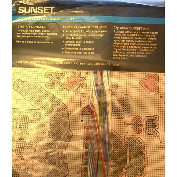 Cross Stitch Kit Sunset Sweater Birth Announcement 8x10 Polly Carbonari Counted - Picture 8 of 11